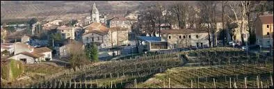 Commune rhônalpine, Saint-Jean-de-Muzols se situe dans le département ...