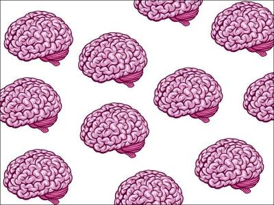 En combien d'hémisphères le cerveau est-il séparé ?