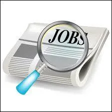 Quel est le rôle du cortex ?