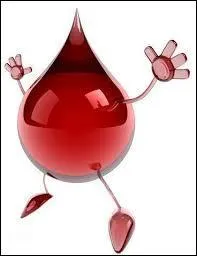 Pour apporter de l'oxygène au cerveau, le sang circule dans les :