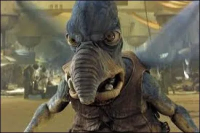 De quelle espèce est Watto ?
