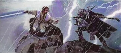 Qui remporta le duel opposant Corran Horn à Shedao Shai ?