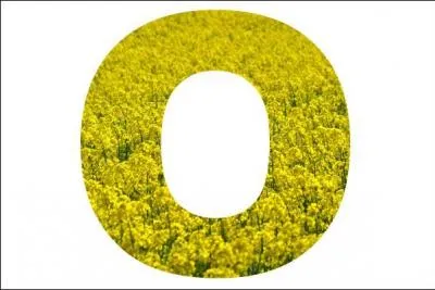 Hydrocarbure insaturé, alcène :