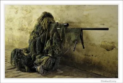 Regardez bien la photo, et mettez dans le mille !