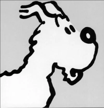 Dans la B.D Tintin, est-ce qu'on connaît le papa ou la maman de Milou ?