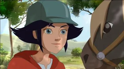 Qu'est-il arrivé à ce pauvre petit poney ?