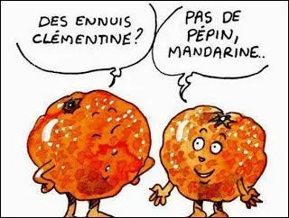 Au début du XXe siècle, Clémentine Delait acquit une certaine notoriété. Pourquoi ?