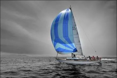 Qui chantait "J'ai sorti la grand voile et j'ai glissé sous le vent" ?