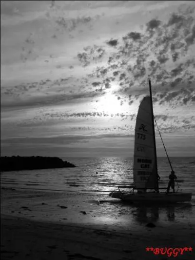 Qui vous remémorez-vous en entendant "Ecoute mon ami, écoute dans le vent..." ?