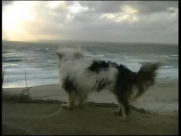 Qui chantait "Quand revient le vent de l'automne, je pense à tout ce temps perdu ..."