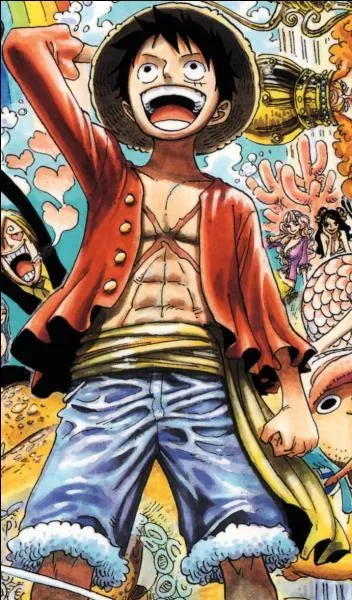 Pourquoi Monkey D. Luffy est allé à Marineford ?
