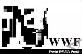 Animaux : quel animal est le symbole de la WWF ?