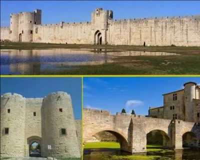 Avec sa tour de Constance, l'un des donjons les plus majestueux de l'architecture du Moyen Age, et ses 1634 mètres de remparts flanqués de 20 tours, cette enceinte fortifiée est l'une des plus visitées de France...