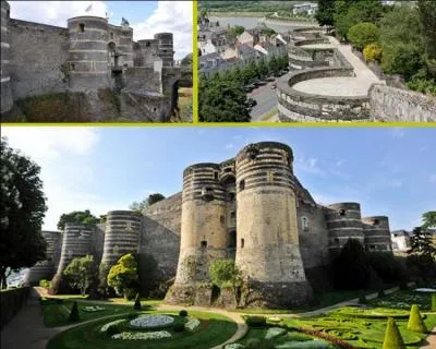 Cette forteresse est édifiée sur un promontoire de schiste ardoisier qui domine la Maine. Dans quelle ville d'Anjou peut-on visiter le château du roi René ?