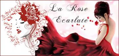 De qui est amoureuse l'héroïne dans les premiers épisodes ?