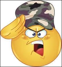 C'est presque transparent, que signifie "ironisch" en français ?