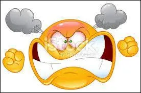 "Wütend" se traduira par :