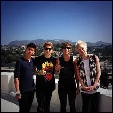 En quel superhero Luke était-il déguisé lors de leur séjour à Los Angeles pendant l'été 2013 ?