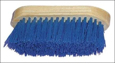 Et elle, comment se nomme-t-elle ?