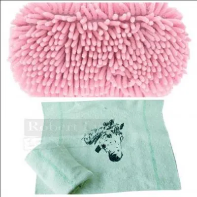 Comment appelle-t-on cet objet ?