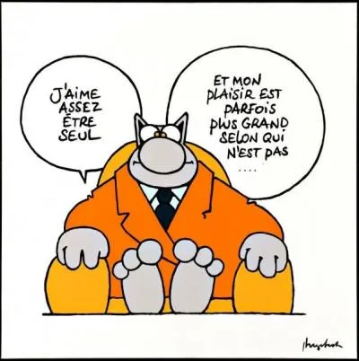 Cherchez le bon mot !