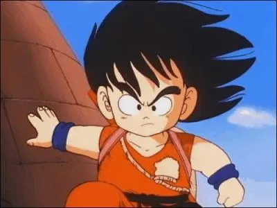 Au 3e tournoi, Sangoku craint une personne, laquelle ?