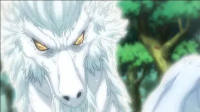 Comment a-t-il acquis la magie de Dragon Slayer ?