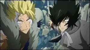 Pourquoi les appelle-t-on les dragons jumeaux ?