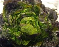 Une petite salade, oui, simplement assaisonnée : vinaigrette pour aider à faire passer la spécialité précédente. Votre menu prend forme. Quelle est-elle ?