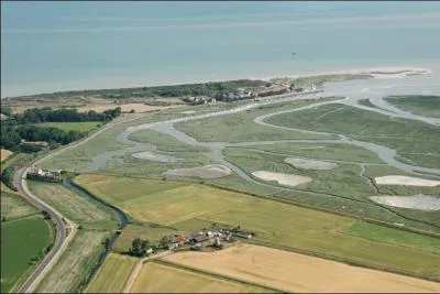 Dans la Somme, près de Saint-Valéry-sur-Somme nous visiterons la Maison de l'Oiseau avant de nous diriger vers une pointe offrant une belle vue sur la Baie de Somme, quel est le nom de cette pointe ?