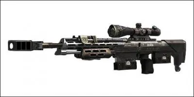 Quelle est cette arme ?