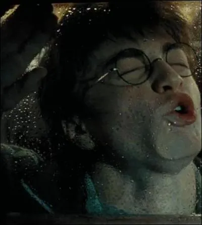 Voilà un peu le Traumduo. Le troisième homme, c'est moi, Bozo, mais je ne suis ici qu'un petit bout de temps... Et heureusement, parce que c'est difficile de prendre des photos :