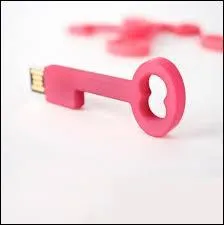 En informatique, que signifie l'abréviation "USB" de la clé USB ?