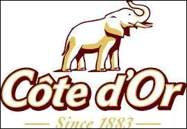 Pour quelle marque ce logo fait-il la publicité ?