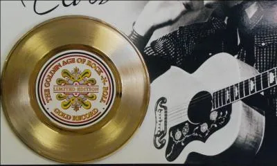 Qui chantait "Prenez mon lit, mes disques d'or, ma bonne humeur" ?