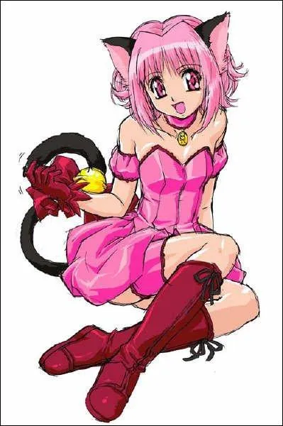 Qui souffre beaucoup par amour pour une Mew Mew ?