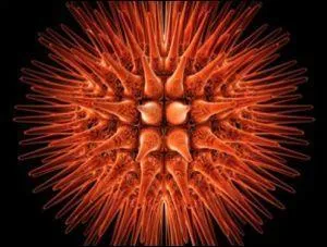 Comment qualifiait-on le sida qui stigmatisait les homosexuels et qui les mettait encore plus à l'écart de la société ? (En lien les chansons pour le Sidaction)