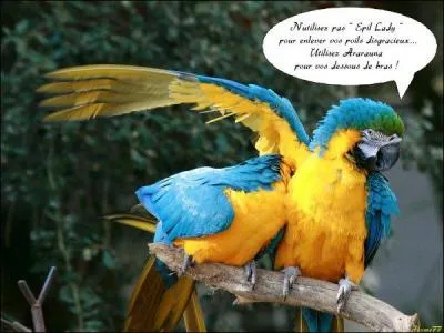 Dans quelle pièce de théâtre pouvez-vous entendre la remarque suivante : C'est roulé à la main sous les aisselles ?