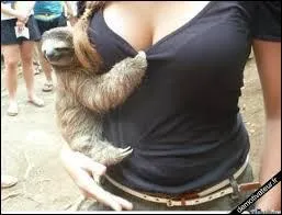 A quoi vous fait penser la photo ?