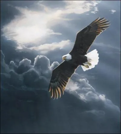 De qui sont les paroles "Quand soudain, semblant crever le ciel
et venant de nulle part" ?