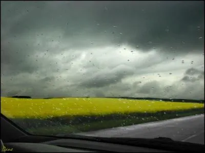 Qui chantait "Le ciel de Nantes rend mon coeur chagrin" ?