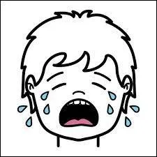 Quel animal allez-vous associer à l'illustration ?