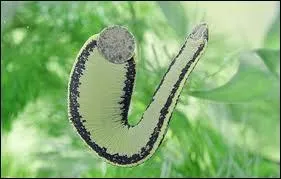 Que vous inspire-t-elle ?