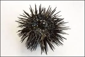 On dit qu'ils sont dans les poches, oui, mais de qui ?