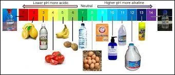 L'échelle de pH est une échelle d'usage courant en chimie permettant de connaître l'acidité d'une substance. 
Que veut dire l'acronyme pH ?
