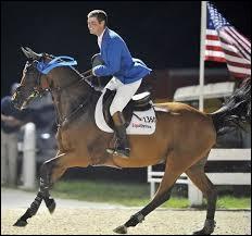 La FEI (fédération équestre internationale) autorise l'utilisation de la cravache en CSO (concours de saut d'obstacles). Mais en 2010, l'Américain Morrissey fut sanctionné en concours pour avoir donné des coups de cravache à son cheval.