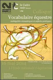 Une bleime est une maladie qui touche la paroi du sabot du cheval.