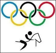 Le champion du monde de saut d'obstacles est d'office qualifié pour la compétition individuelle de saut des Jeux olympiques suivants.