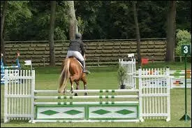 Un cheval normal et bien entraîné fait 3 foulées dans un obstacle double constitué de 2 obstacles verticaux séparés de 10, 5 m.