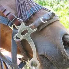 Le hackamore (cf. photo) est autorisé en C.S.O (concours de saut d'obstacles)